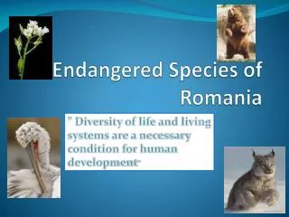 Endangered Species of Romania