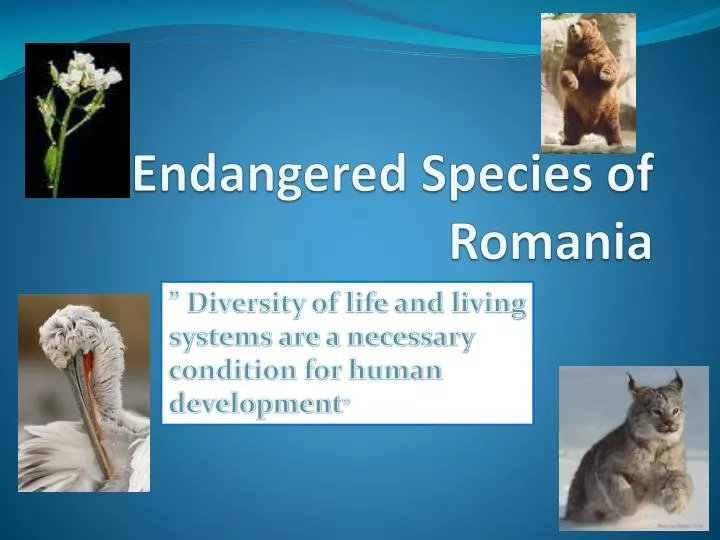 endangered species of romania