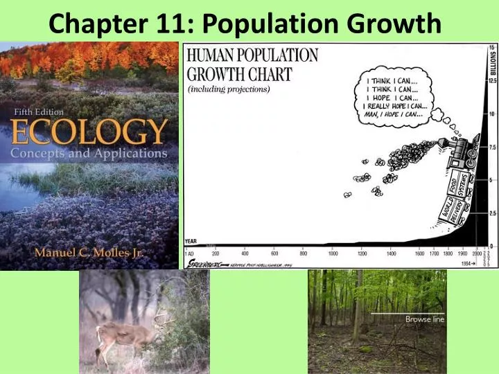 chapter 11 population growth