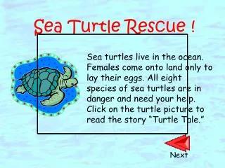 Sea Turtle Rescue !
