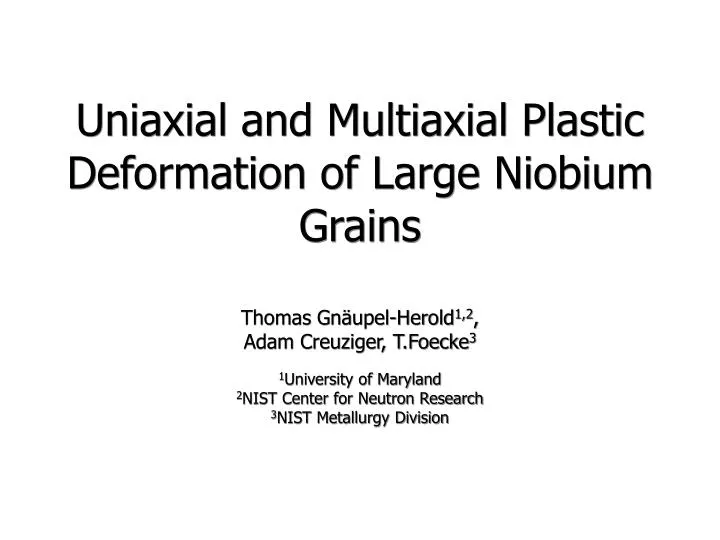 uniaxial and multiaxial plastic deformation of large niobium grains