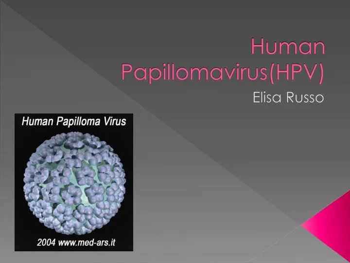 human papillomavirus hpv