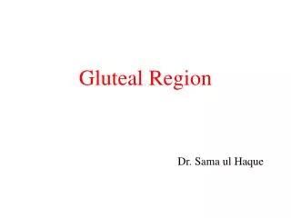 Gluteal Region