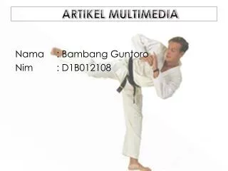 artikel multimedia