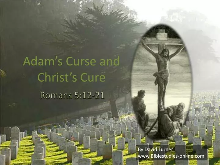 adam s curse and christ s cure
