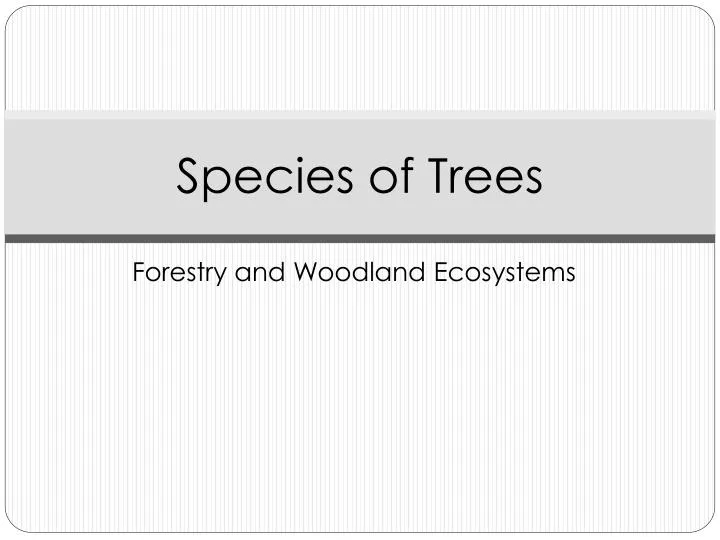 species of trees