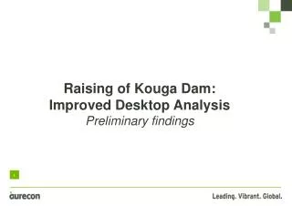 Raising of Kouga Dam: Improved Desktop Analysis Preliminary findings