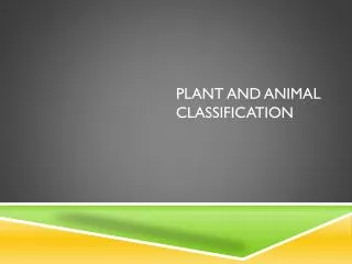 Plant and Animal Classification
