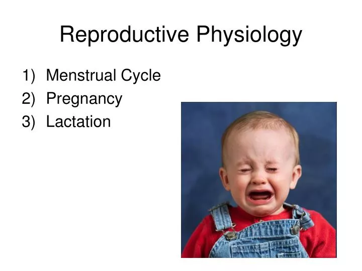 reproductive physiology