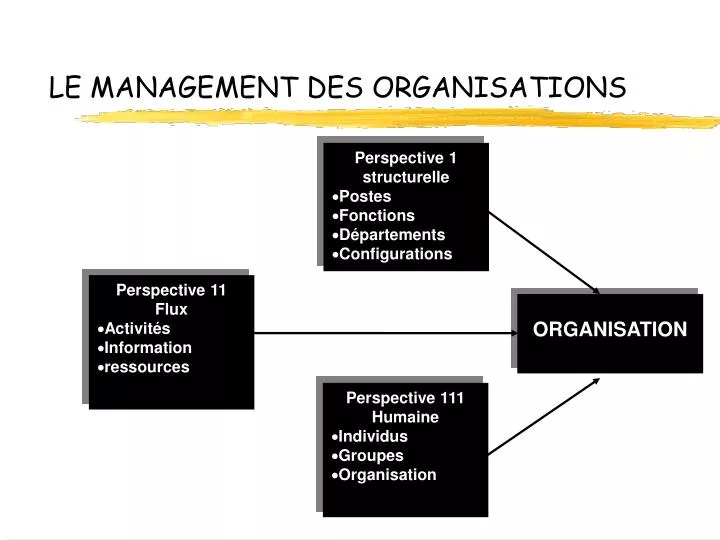 le management des organisations