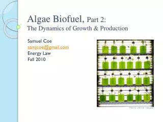 Algae Biofuel , Part 2: The Dynamics of Growth &amp; Production