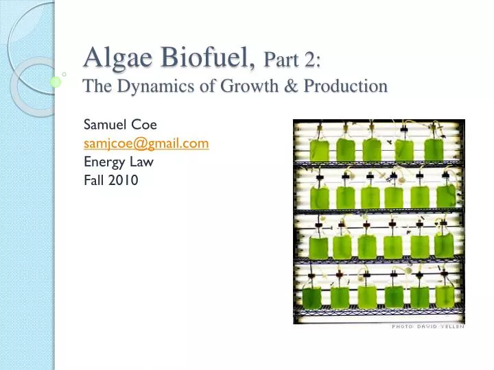 algae biofuel part 2 the dynamics of growth production
