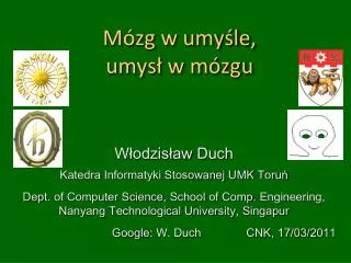 m zg w umy le umys w m zgu