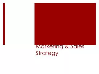 Marketing &amp; Sales Strategy