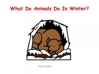 What Do Animals Do In Winter?