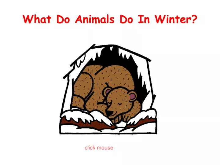 what do animals do in winter