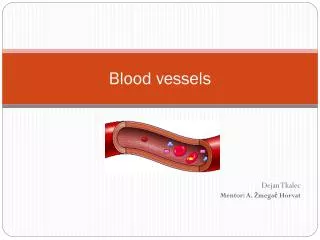 Blood vessels