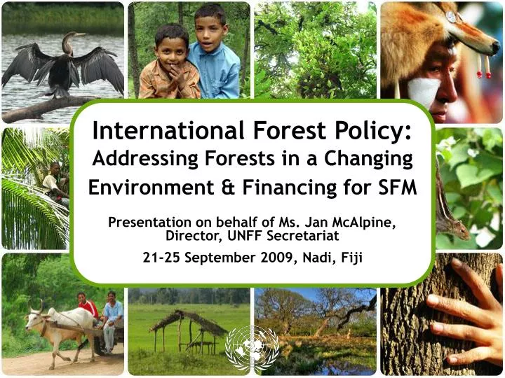 international forest policy addressing forests in a changing environment financing for sfm