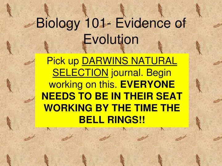 biology 101 evidence of evolution