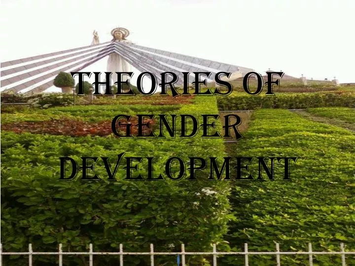 theories of gender development
