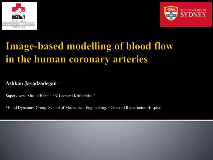image based modelling of blood flow in the human coronary arteries