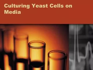 Culturing Yeast Cells on Media