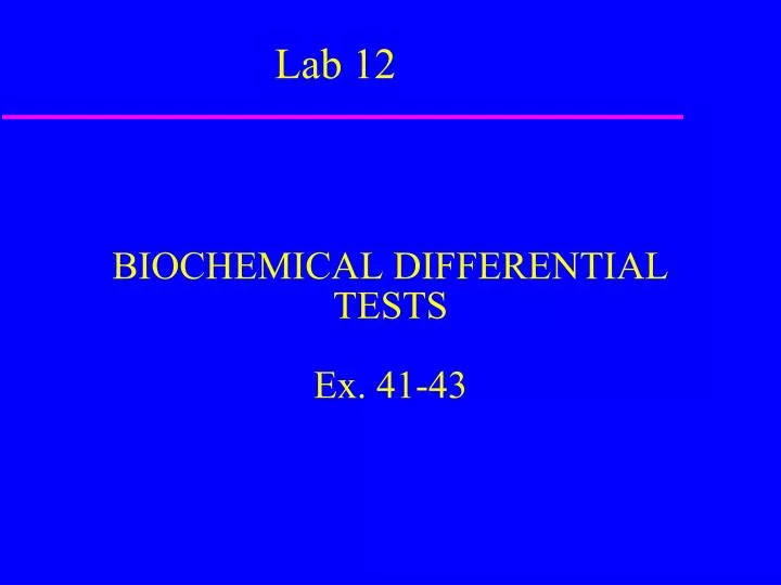 biochemical differential tests ex 41 43