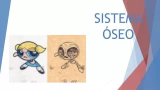 sistema seo
