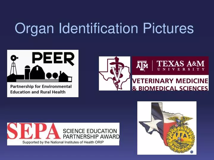 organ identification pictures