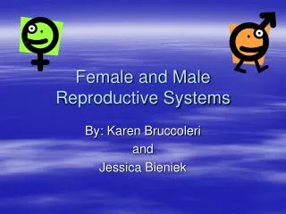 Female and Male Reproductive Systems