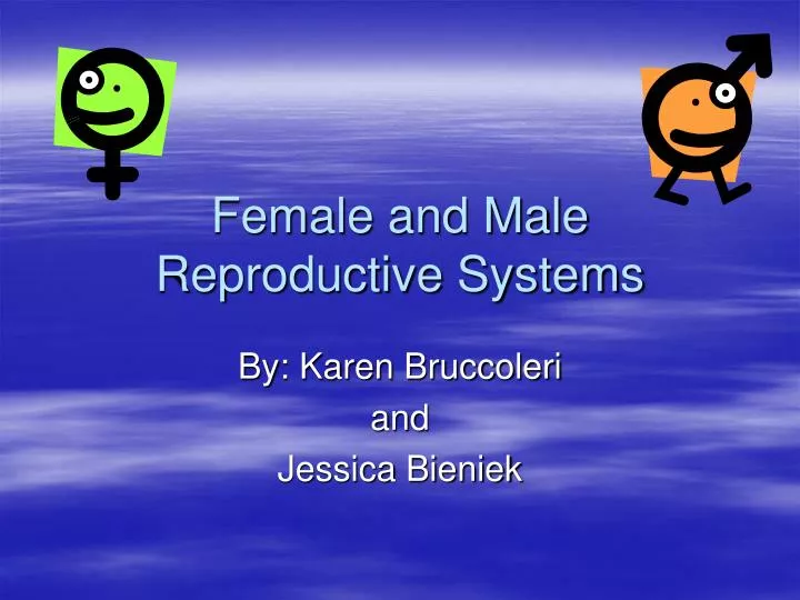 female and male reproductive systems