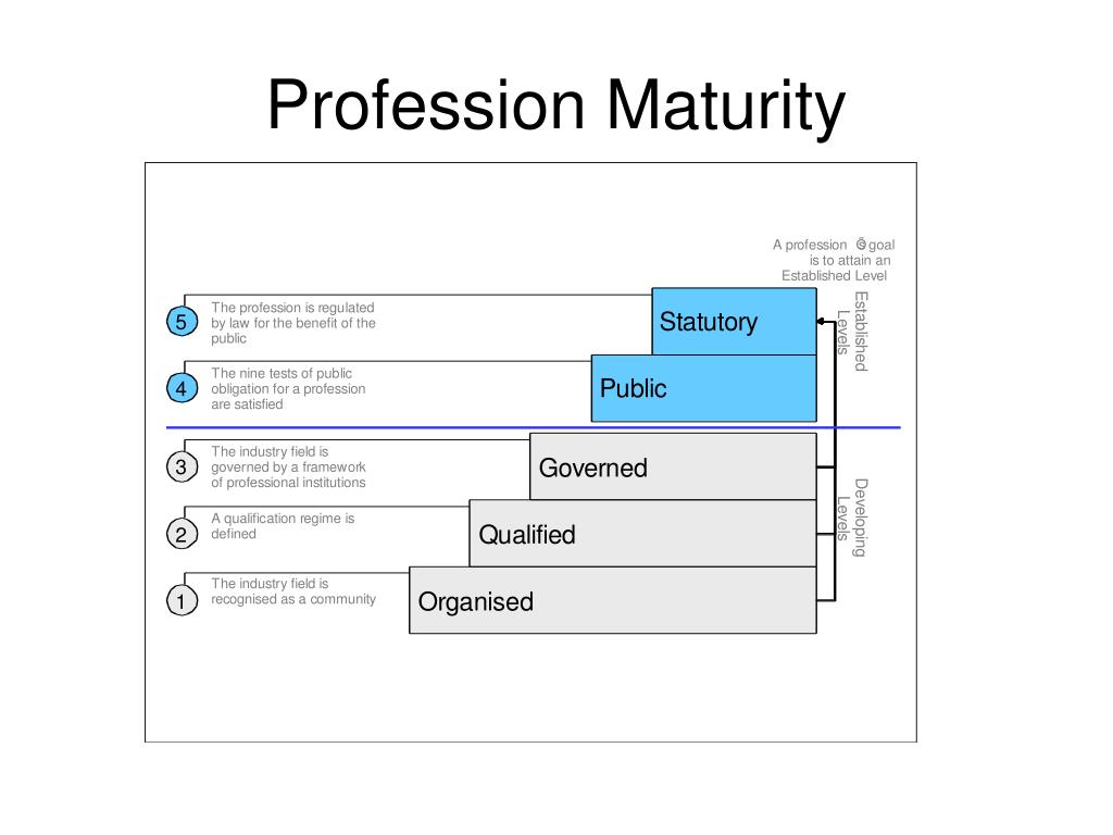 PPT - Navigating Professional Maturity: Key Insights for Career Growth ...