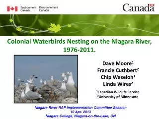 Colonial Waterbirds Nesting on the Niagara River, 1976-2011.