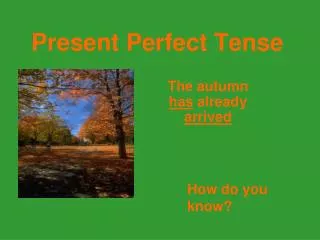 Present Perfect Tense