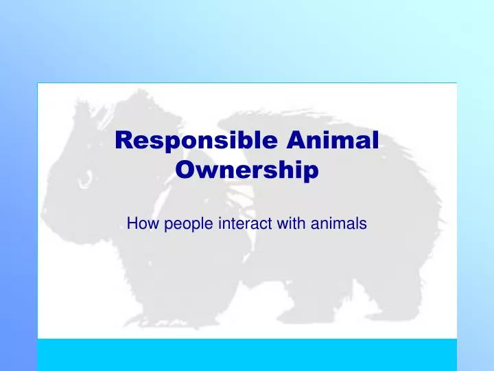 responsible animal ownership