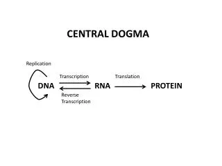 DNA