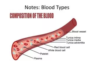 Notes: Blood Types