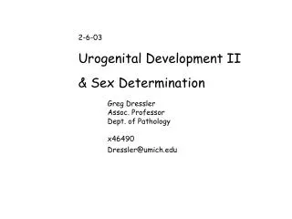 2-6-03 Urogenital Development II &amp; Sex Determination 	Greg Dressler 	Assoc. Professor