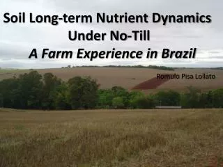 Soil Long-term Nutrient Dynamics Under No-Till A Farm Experience in Brazil