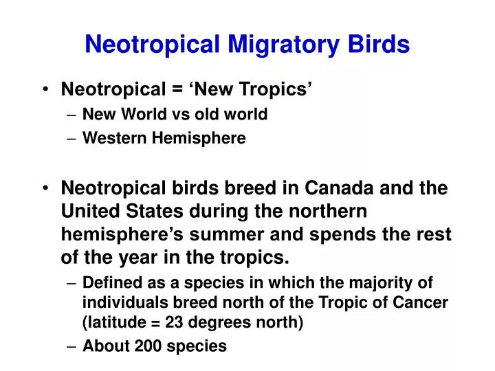 neotropical migratory birds