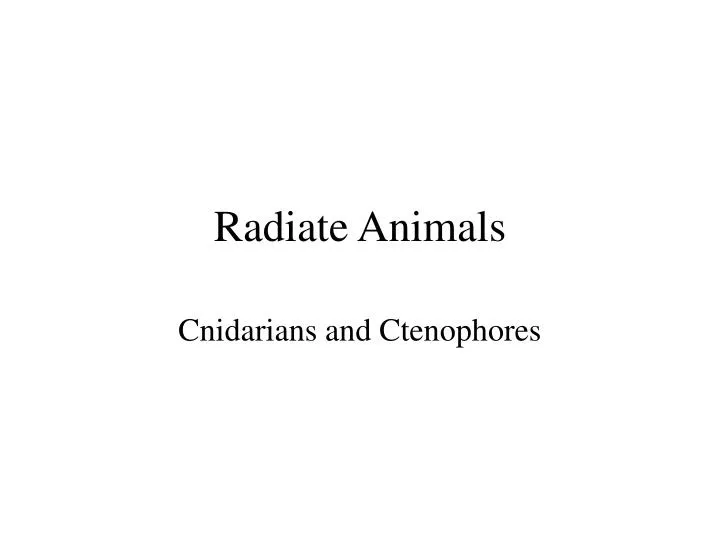 radiate animals