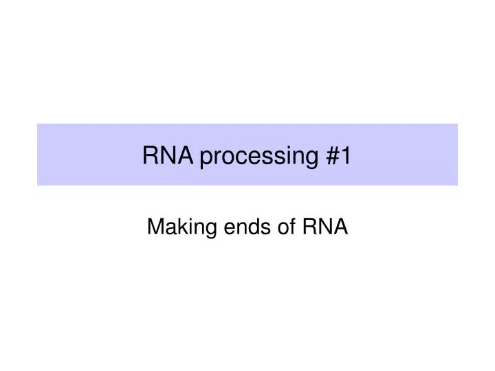 rna processing 1