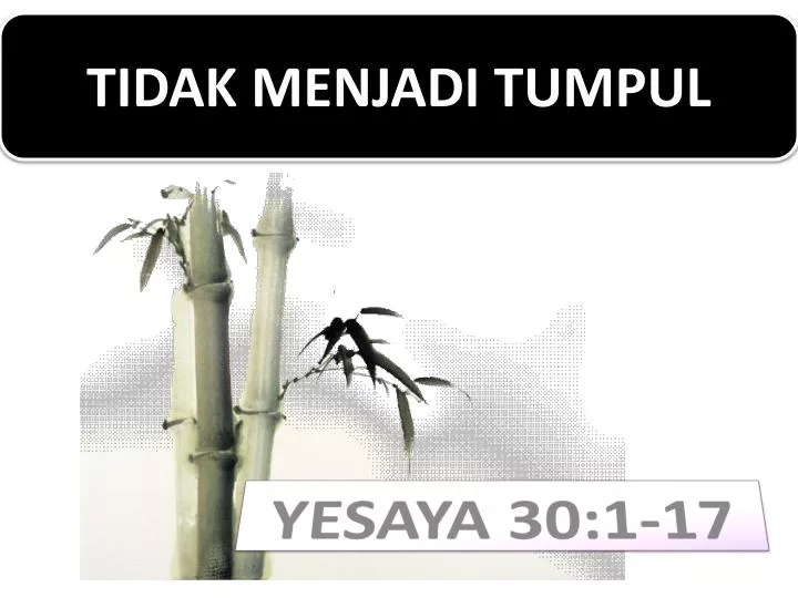 yesaya 30 1 17