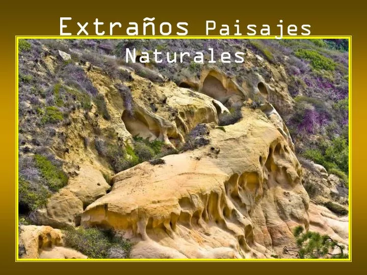 Ppt Extra Os Paisajes Naturales Powerpoint Presentation Free Download Id