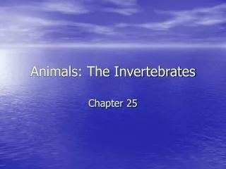 Animals: The Invertebrates