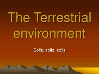 The Terrestrial environment