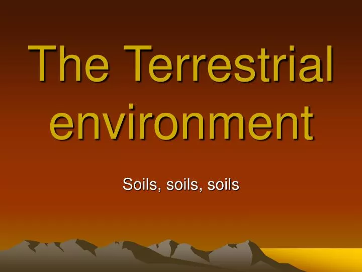 the terrestrial environment