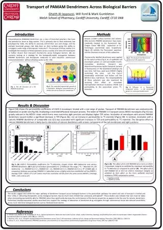 Transport of PAMAM Dendrimers Across Biological Barriers