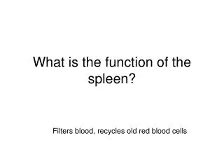 What is the function of the spleen?