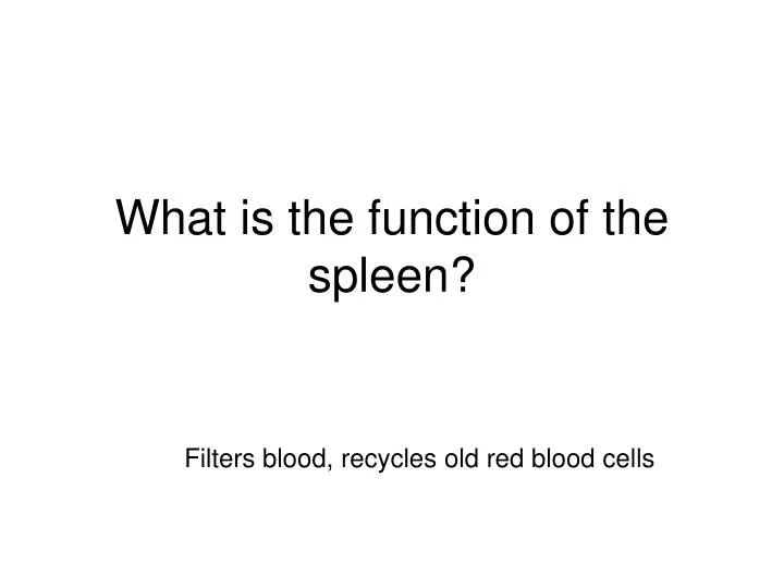 what is the function of the spleen